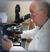 Obtaining the results of the Indican Test